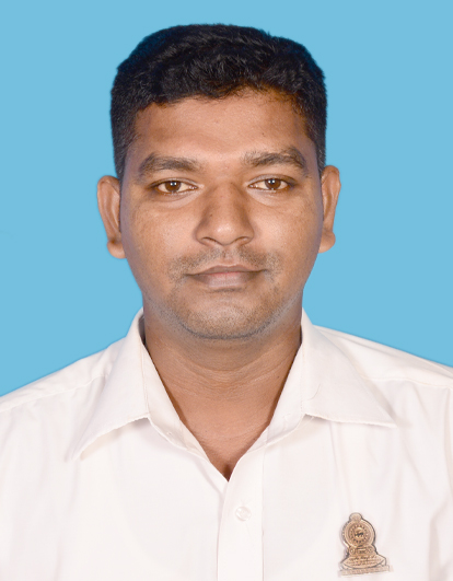 71 copy